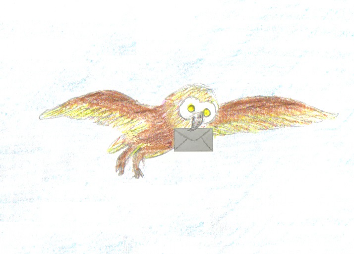 Eine kleine, braune Eule fliegt durch die Luft und hält dabei einen Brief in ihrem Schnabel fest.